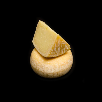 Cheese Cheese