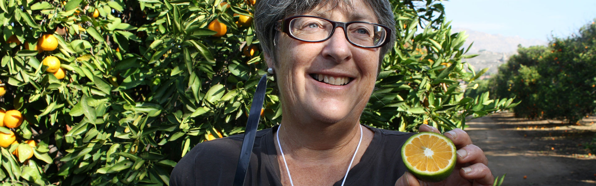 Dr Tracy Kahn, curator of the UCR Citrus Variety Collection and holder of the Givaudan Citrus Variety Collection Endowed Chair