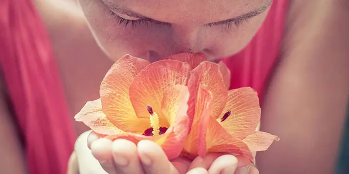 A person leans forward, inhaling the scent of two vibrant orange flowers held in their hands. The soft pink attire contrasts with the floral hues, creating a serene atmosphere
