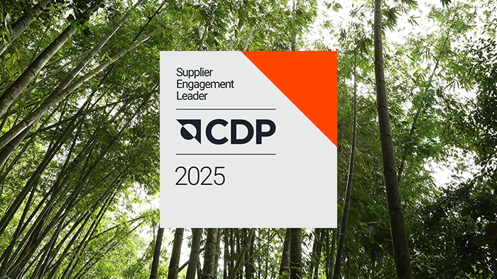 CDP Supplier Engagement Leader badge on top of a forest image