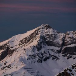 Naturally hedged portfolio for consistent growth