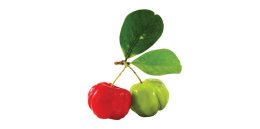 image small thumbnail