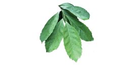 image small thumbnail