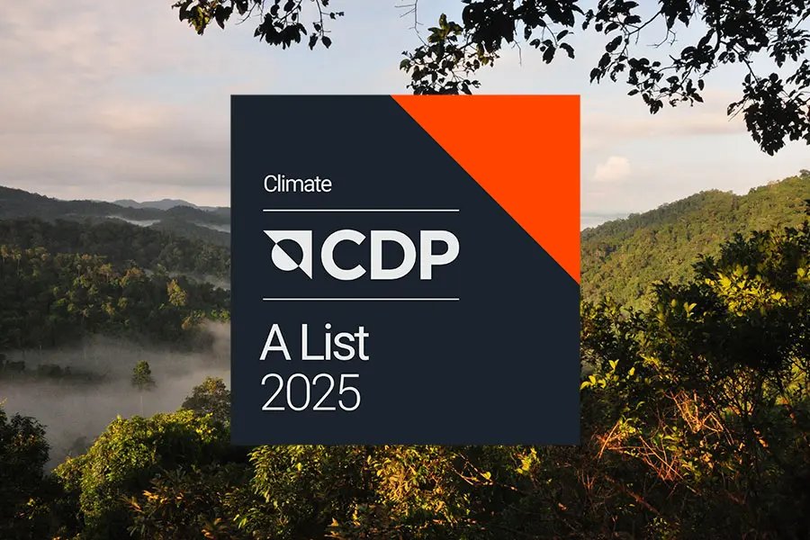 Badge of the CDP A List 2025 on a landscape background