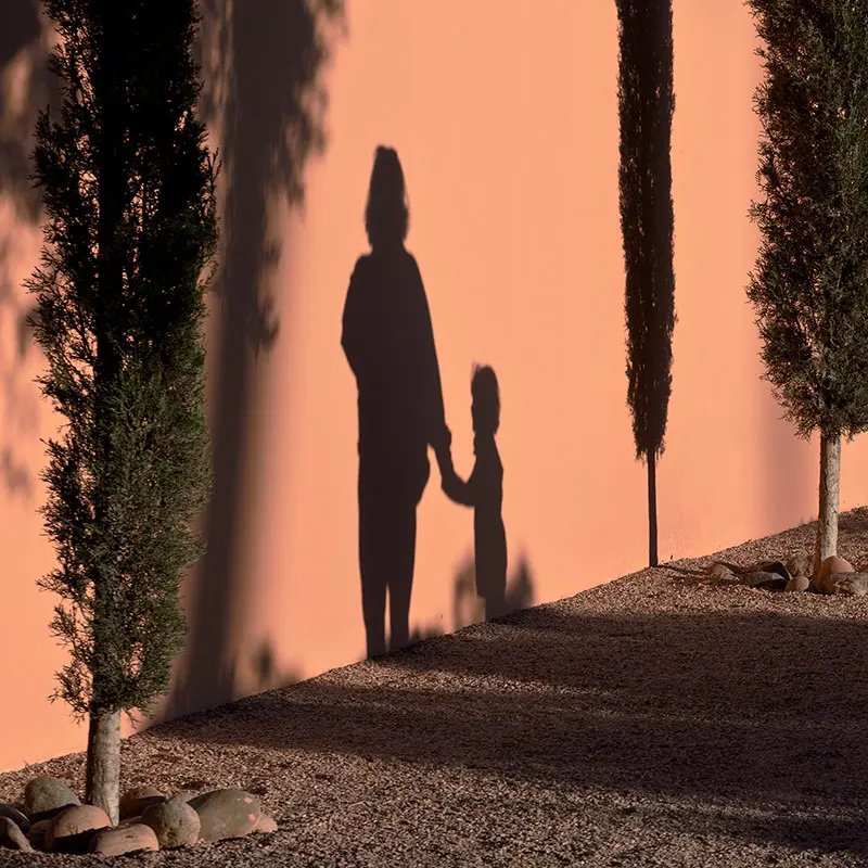 Shadows of an adult and a child holding hands are cast on a textured peach wall, surrounded by tall green trees and pebbles, creating a warm, serene atmosphere.