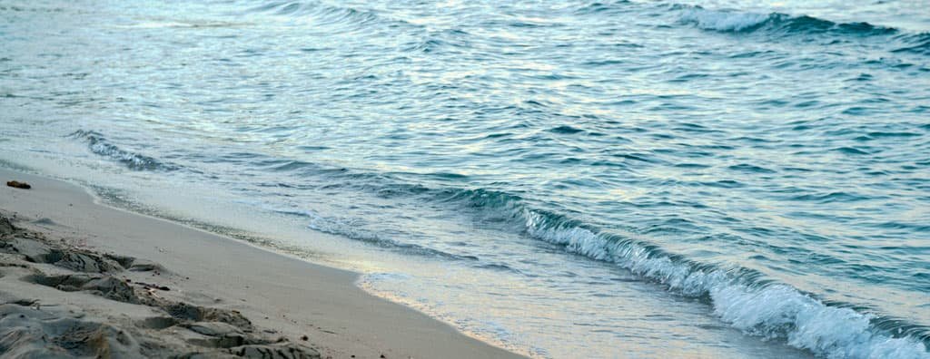 Integrated Annual Report