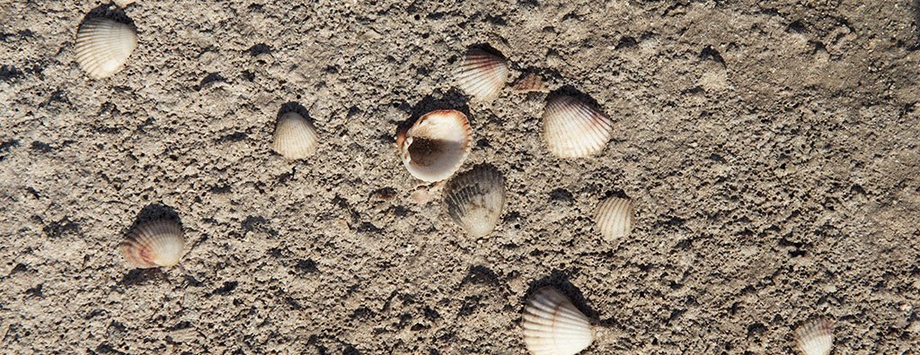 Striving for scents with staying power