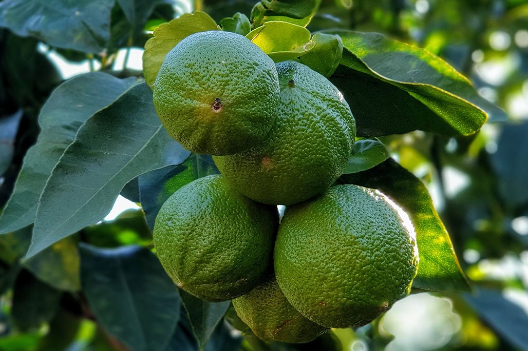 image small thumbnail