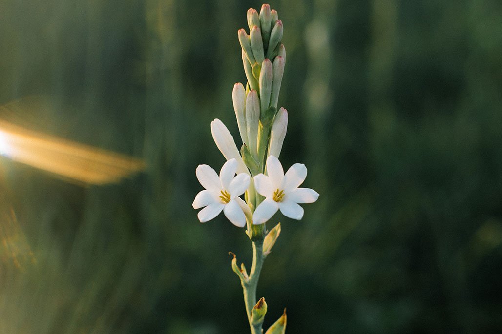 image small thumbnail