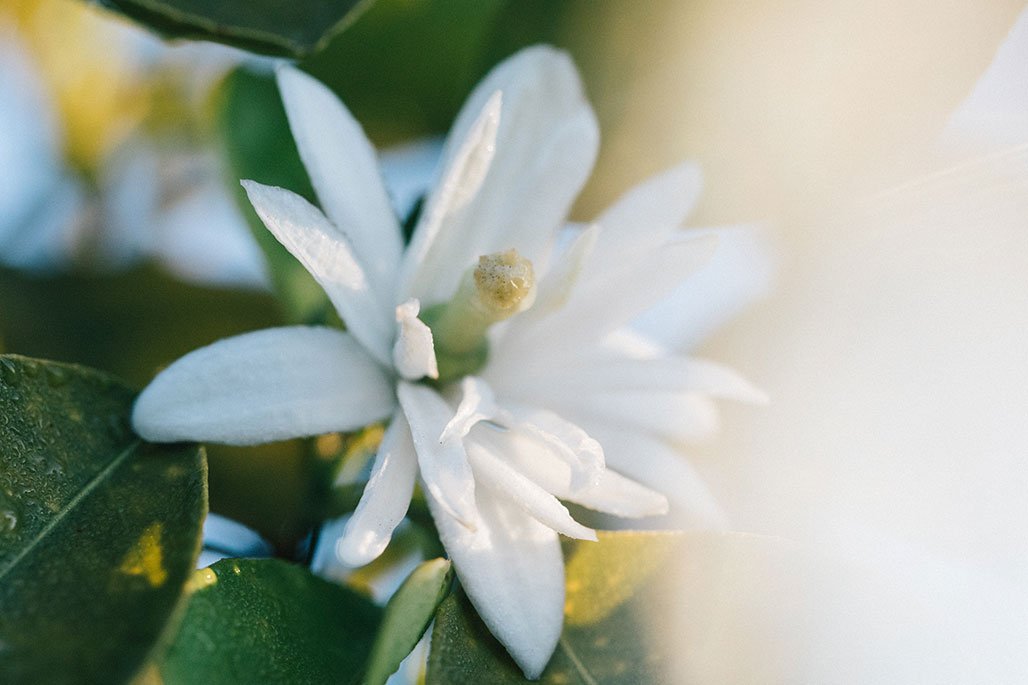 image small thumbnail