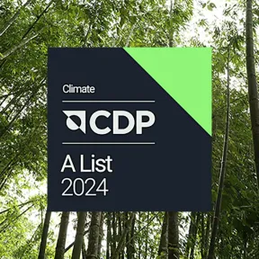 CDP logo on a forest background