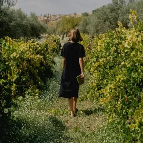 A woman walking through a vineyard