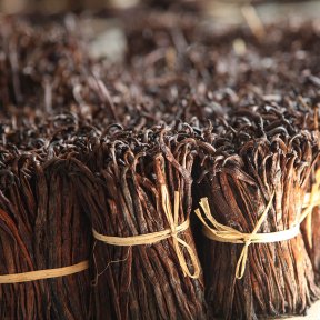Vanilla beans, Madagascar