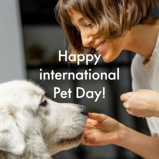 instagram post Happy International Pet D