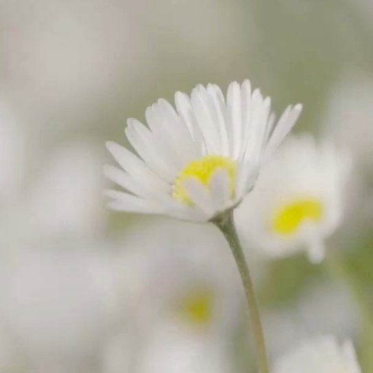 instagram post We made it through Winter