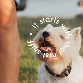 instagram post It starts with that first