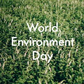 instagram post  This World Environment D