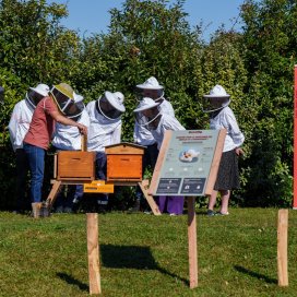 instagram post  Three beehives just move