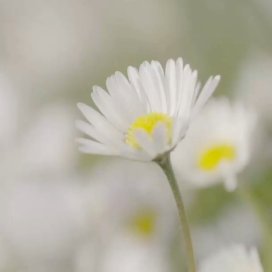 instagram post We made it through Winter