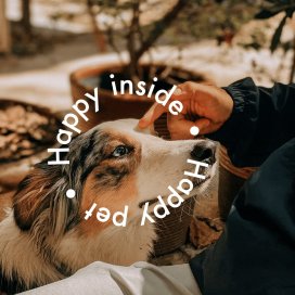 instagram post Happy inside, happy pet! 