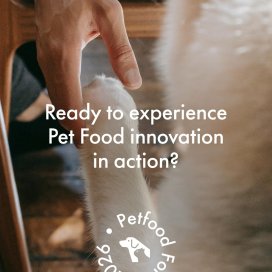 instagram post Ready to experience pet f