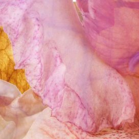 instagram post We are thrilled to announ