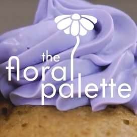 instagram post Spring is just around the